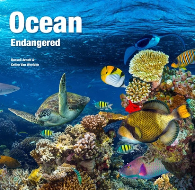 https://scientificbooks.net/sb/8RFqVucnYu313O8SHe.jpeg