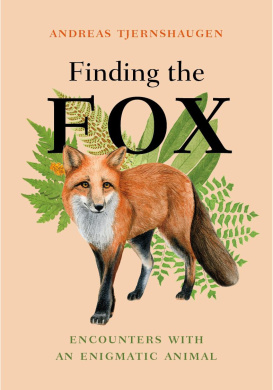 https://scientificbooks.net/sb/8YmYDlqRHtZK9sY6Oq.jpeg