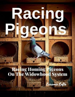 https://scientificbooks.net/sb/8g6JAbX4yukm3k1NwR.jpeg