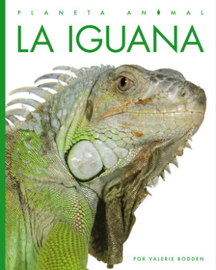 https://scientificbooks.net/sb/8jEOspZB8tEg76409E.jpeg