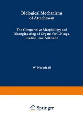 https://scientificbooks.net/sb/8lvqe3R0TIdyxMDTag.jpeg