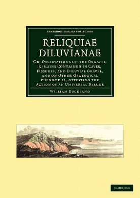 https://scientificbooks.net/sb/8vyiMCcnH2PDdDnEJn.jpeg