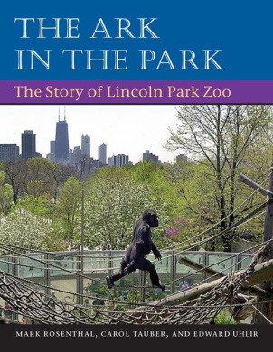 https://scientificbooks.net/sb/8z7i7akswNR7R7GwTJ.jpeg