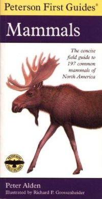 https://scientificbooks.net/sb/91YxsgYGYz52Ofi9Xd.jpeg