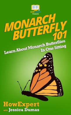 https://scientificbooks.net/sb/9DBQhU9tDG9fhLqq4J.jpeg