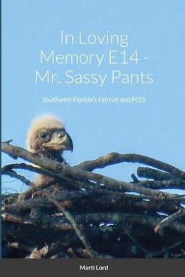 https://scientificbooks.net/sb/9FTuPYuBKq10NQthbW.jpeg