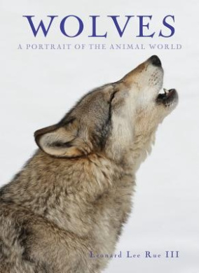 https://scientificbooks.net/sb/9GsuP101bw3dtb7EEM.jpeg