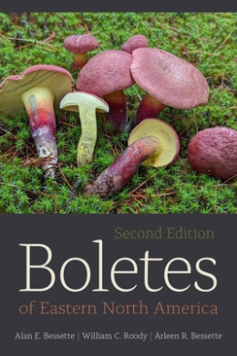 https://scientificbooks.net/sb/9Ixw8emi606CgE1j1X.jpeg