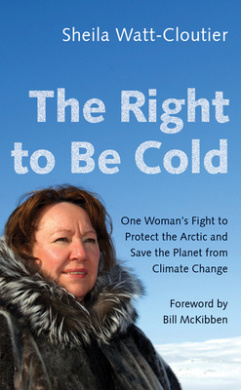 https://scientificbooks.net/sb/9JI3Rw4GHIfV6D4Vpa.jpeg