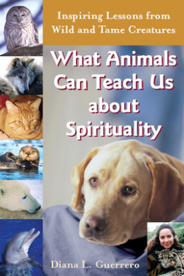 https://scientificbooks.net/sb/9JM7hibkAFjlPmegRp.jpeg