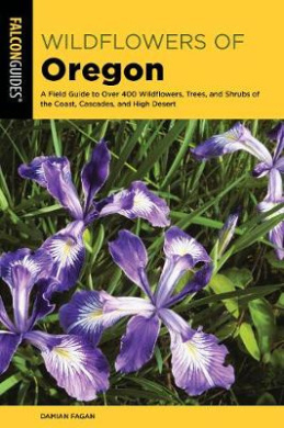 https://scientificbooks.net/sb/9umUUmaOatHKRshM2M.jpeg