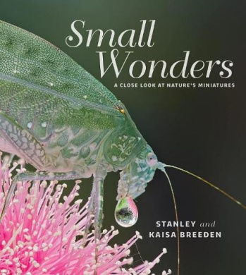https://scientificbooks.net/sb/A0vxkoKSN6dEjckUvq.jpeg