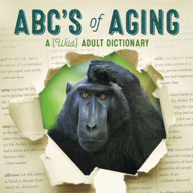 https://scientificbooks.net/sb/A2a4oMZjVXp22z1BG6.jpeg