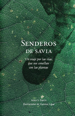 https://scientificbooks.net/sb/A3aOr1TQg6fRWmuu3v.jpeg