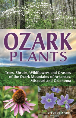 https://scientificbooks.net/sb/A9T5k0rwIFiT7jKxUp.jpeg