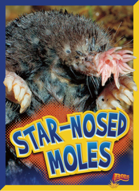 https://scientificbooks.net/sb/ACzJUjoksjqAg7Apuv.jpeg