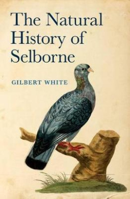 https://scientificbooks.net/sb/AEqDmKEQ714KNqZD9D.jpeg