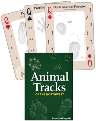 https://scientificbooks.net/sb/AOVoZ0JGctCH8wGjRt.jpeg