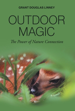 https://scientificbooks.net/sb/ASOjDQWHeNGSj5CeQa.jpeg