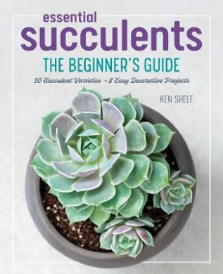 https://scientificbooks.net/sb/AaS39K51fIv7Xv0mzk.jpeg