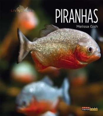 https://scientificbooks.net/sb/AdzkIaT1WosAWG7Vjx.jpeg