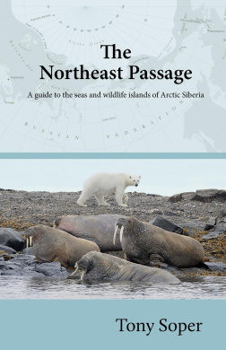 https://scientificbooks.net/sb/AgdCAbWjB8rUQkLsAP.jpeg