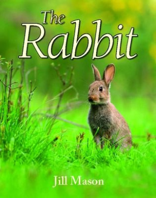 https://scientificbooks.net/sb/AjXWVJAFzu3WGExqPm.jpeg