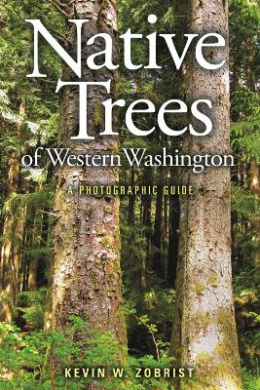 https://scientificbooks.net/sb/Az28W0Ys1h2aQfcqtE.jpeg