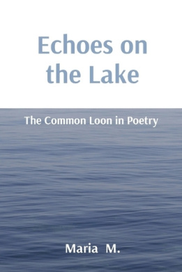 https://scientificbooks.net/sb/B3nlGD2P1tmCTOuyMF.jpeg