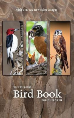 https://scientificbooks.net/sb/B6TWLJtsjP9WlW9KA3.jpeg