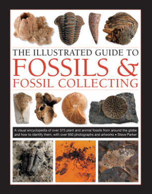 https://scientificbooks.net/sb/B7XDegEtCtrsNNeFb8.jpeg