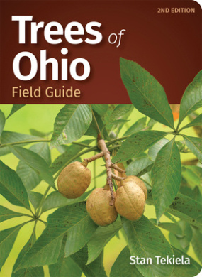https://scientificbooks.net/sb/BAspgNqafnyxxNfCWq.jpeg