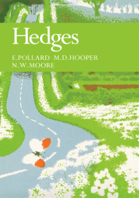 https://scientificbooks.net/sb/BIWVsPEBXZGAtGK6SY.jpeg