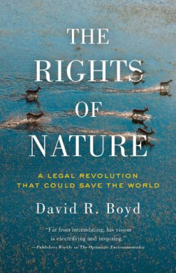 https://scientificbooks.net/sb/BK3gz9W3Sc0NSXfnxH.jpeg