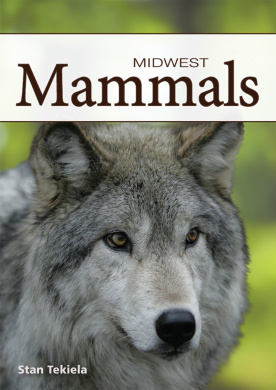 https://scientificbooks.net/sb/BOfZJ6gLJ4ku0hJUoZ.jpeg