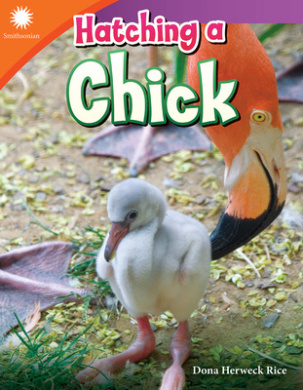 https://scientificbooks.net/sb/BPNx4r1OoFdFgDr0pY.jpeg