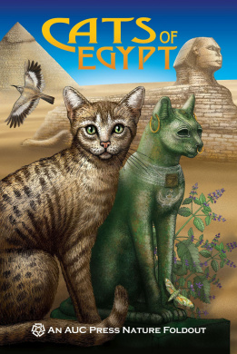 https://scientificbooks.net/sb/BSTZaYdpeLnTY7P2r5.jpeg