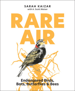 https://scientificbooks.net/sb/BWiFsT0TDdjCqP1KOR.jpeg