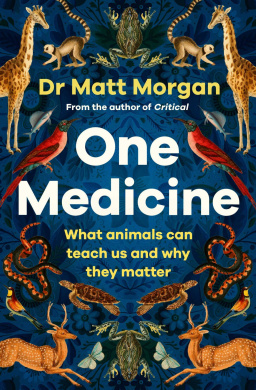 https://scientificbooks.net/sb/C9HbBxPqiFCRi404bR.jpeg