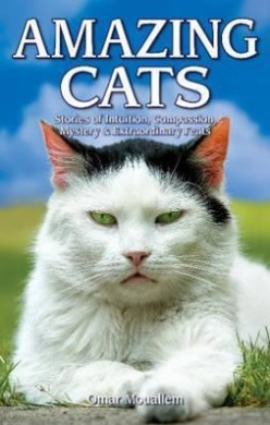 https://scientificbooks.net/sb/C9qrIIc6iVjWQIn3aa.jpeg