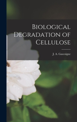 https://scientificbooks.net/sb/CCzFrvGHO45UsjUMgP.jpeg
