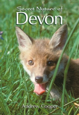 https://scientificbooks.net/sb/CDXE9RhTD4yEZOnoUY.jpeg