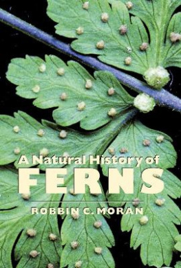 https://scientificbooks.net/sb/CXNXIyLQ62IJTPNXHS.jpeg