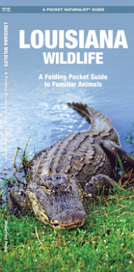 https://scientificbooks.net/sb/CcJa7ADinVTXPRj389.jpeg