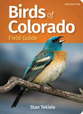 https://scientificbooks.net/sb/CiNzDBWIXW100f3jVP.jpeg
