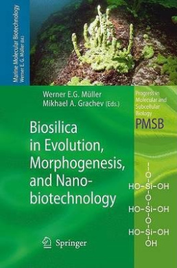 https://scientificbooks.net/sb/CuauXrTeruvynOe1DI.jpeg