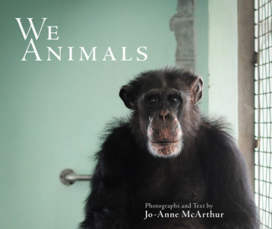 https://scientificbooks.net/sb/Cuh7UkqU2Cb3jOXGT3.jpeg