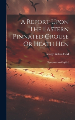https://scientificbooks.net/sb/D03p4fzVr3rJAS482x.jpeg