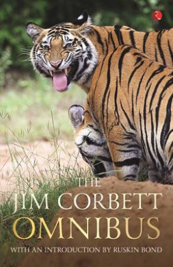 https://scientificbooks.net/sb/DAJaYCjTy1K9bcK1oh.jpeg