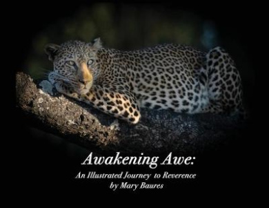 https://scientificbooks.net/sb/DT02TsyljminQ7cDMA.jpeg